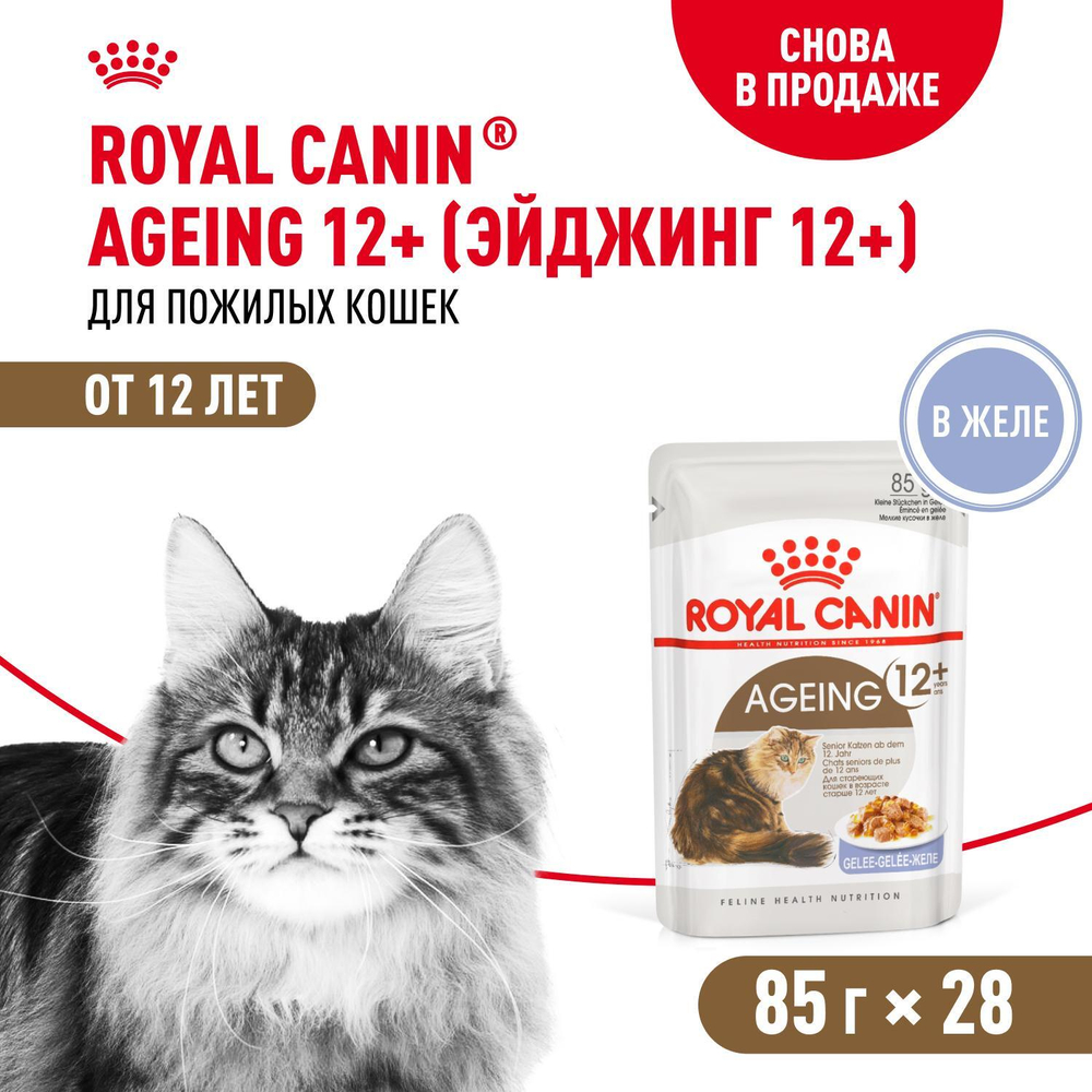 Royal Canin Ageing 12+ Корм консервированный для стареющих кошек старше 12 лет в желе 85г