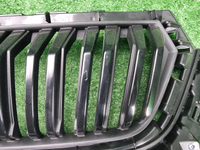 Решетка радиатора Skoda Kodiaq (2021-н.в.)