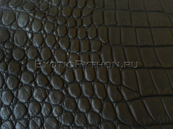 Кожа крокодила SK-20