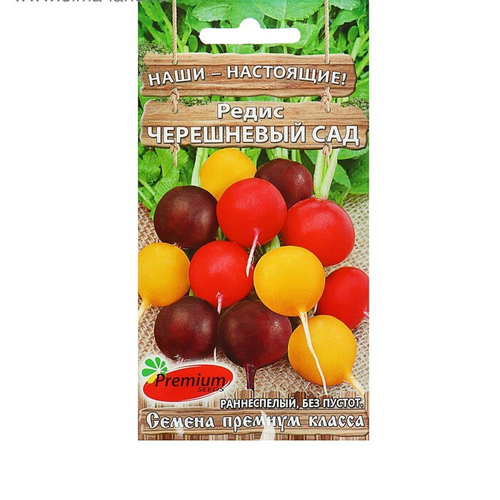 Редис "Черешневый сад", 2 г