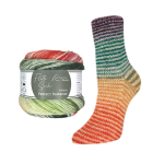Пряжа Rellana Flotte Socke 4f. Perfect Rainbow (3125)