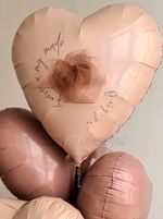 Воздушные шары №6231