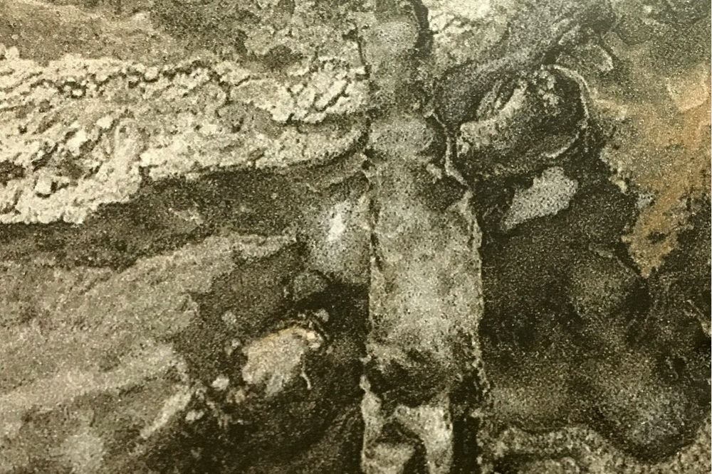 Столешница\3050\600\40(4 КАТЕГОРИЯ (40 мм)