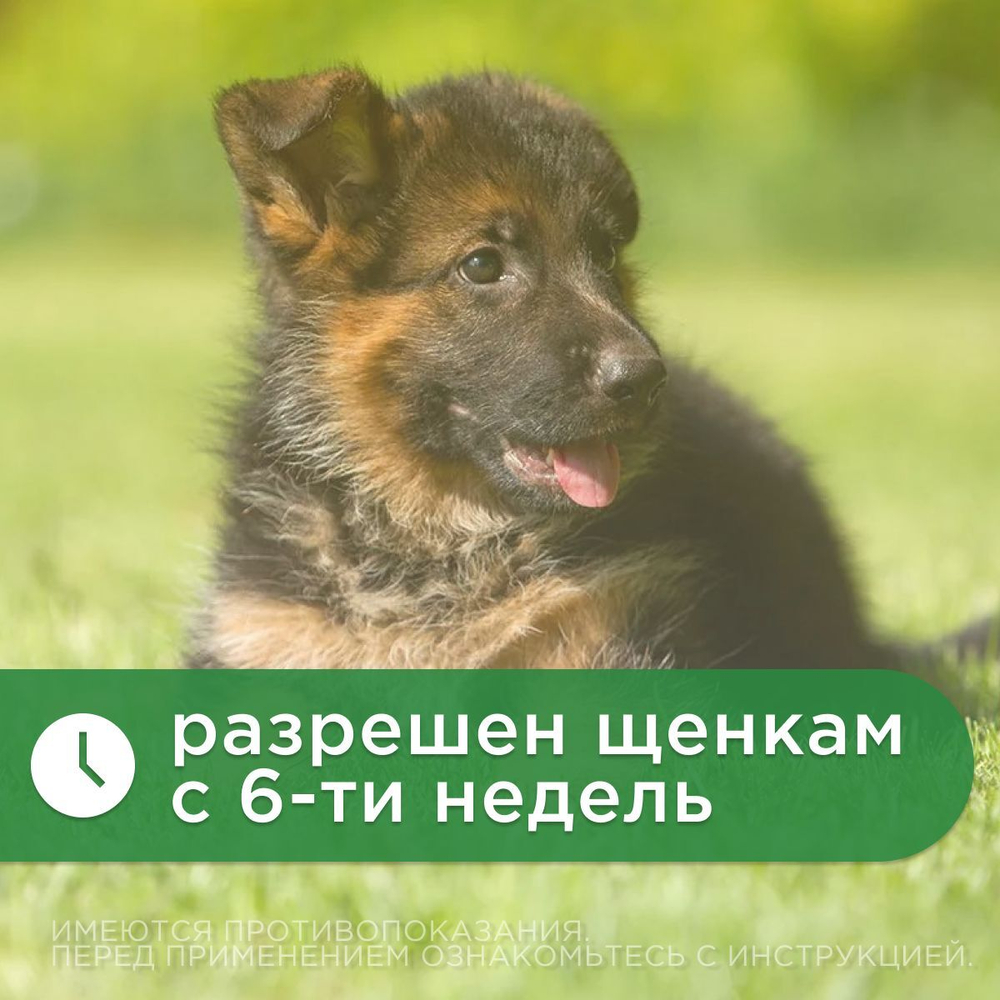Капли от блох, клещей и гельминтов лечебные "KRKA"/ Для собак массой от 20,1 до 40кг / "Селафорт 240мг/2мл Селамектин