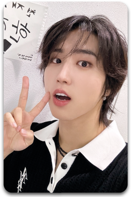 Карта / STRAY KIDS #1429