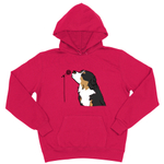 Толстовка "Берн поет"