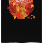 A Bathing Ape Japan Autumn Photo Ape Head Tee