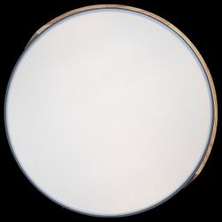 Накладной светильник Loft it Axel 3 10004/36 Grey