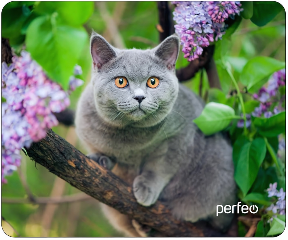 Perfeo Коврик для компьютерной мыши &quot;Cat&quot;, Рис.40 (240*200*2 мм), ткань+резиновое основание