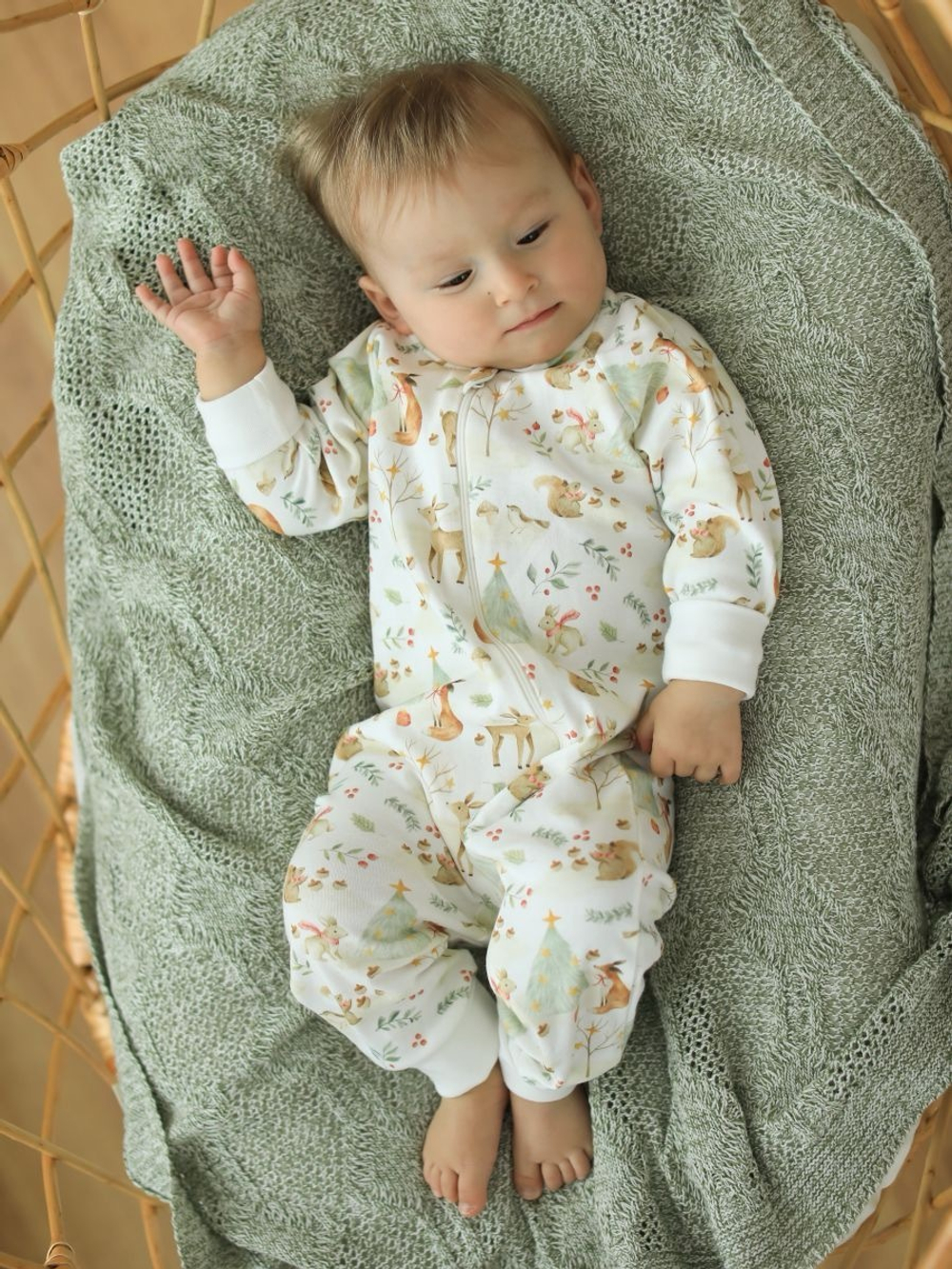 Комбинезон растущий на молнии "Новогодний лес"