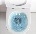 Унитаз SELLA Aria подвесной безободковый Ceruttispa CT7183 (490х360х325)