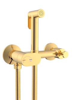 Гигиенический душ WeltWasser  HIGI R02 GL 10000013664 латунь  Золото