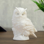 4761894 Ночник "Сова" LED батарейки 3хLR белый фосфорный 10x7xx12 см