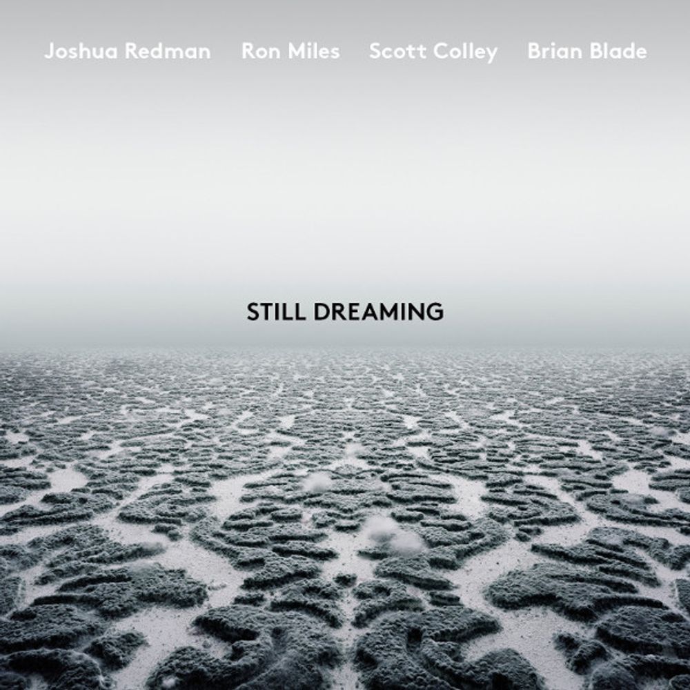 Joshua Redman, Ron Miles, Scott Colley, Brian Blade / Still Dreaming (CD)