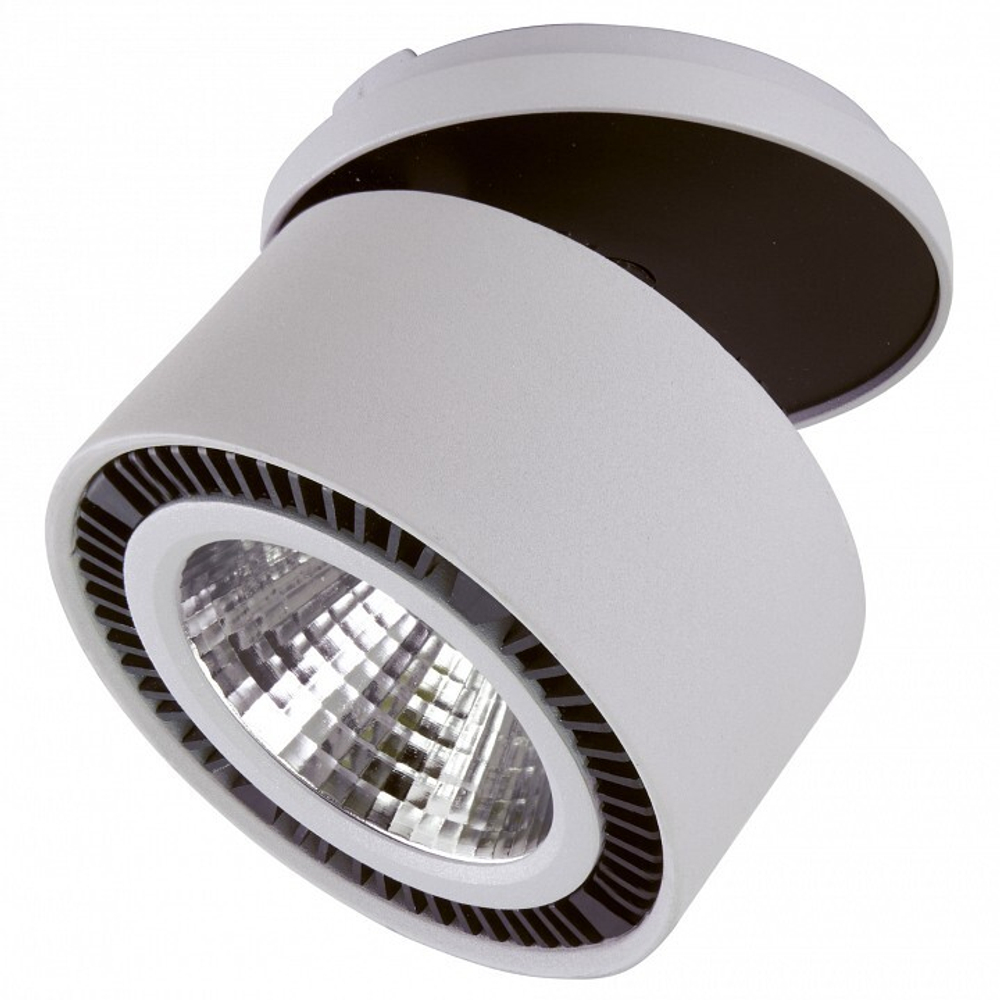 Спот Lightstar 213829