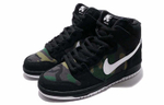 Кроссовки Nike Dunk Sb Camo