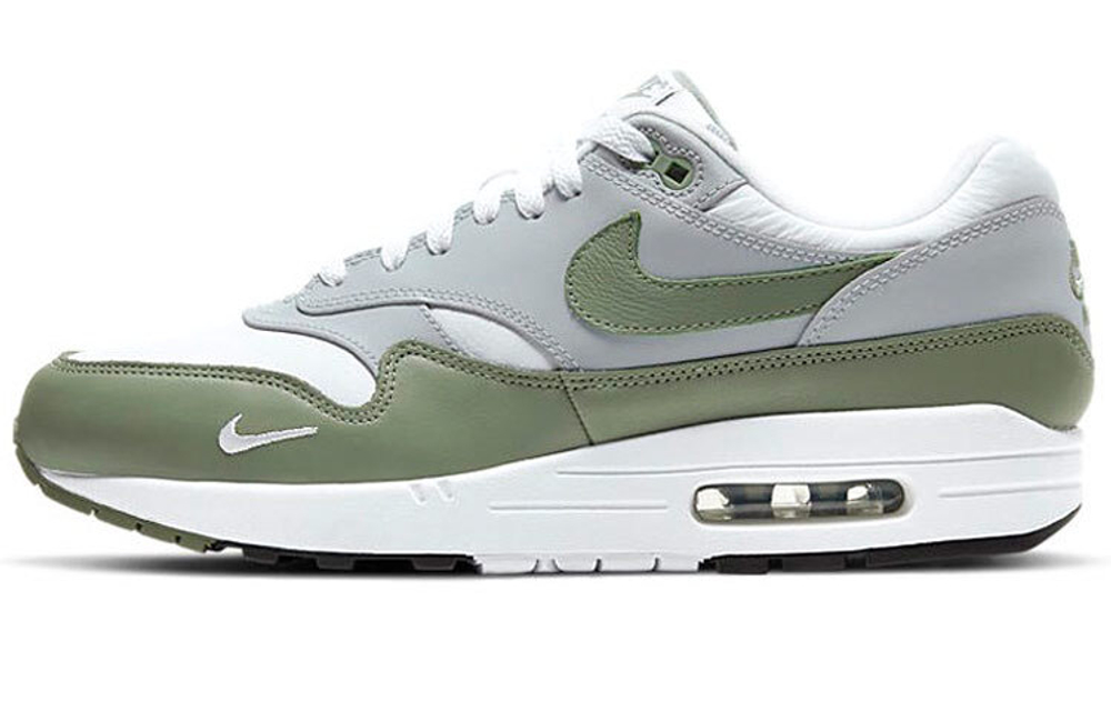 Кроссовки Nike Air Max 1 Premium "Spiral Sage"