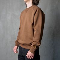  Толстовка мужская Carhartt WIP Chase Sweatshirt артикул:I033660_chocolate - купить в магазине Дайс
