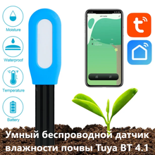 Без имени