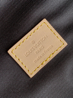 Louis Vuitton Bumbag