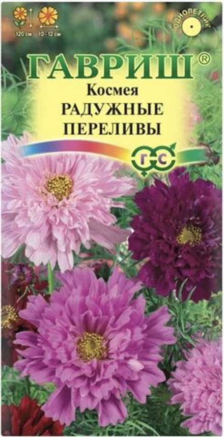 Космея Радужные переливы