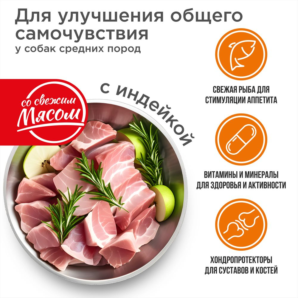 Корм сухой для взрослых собак средних пород, премиум полнорационный комплекс, улучшение общего самочувствия, с индейкой, 2,5 кг, QUATTRO