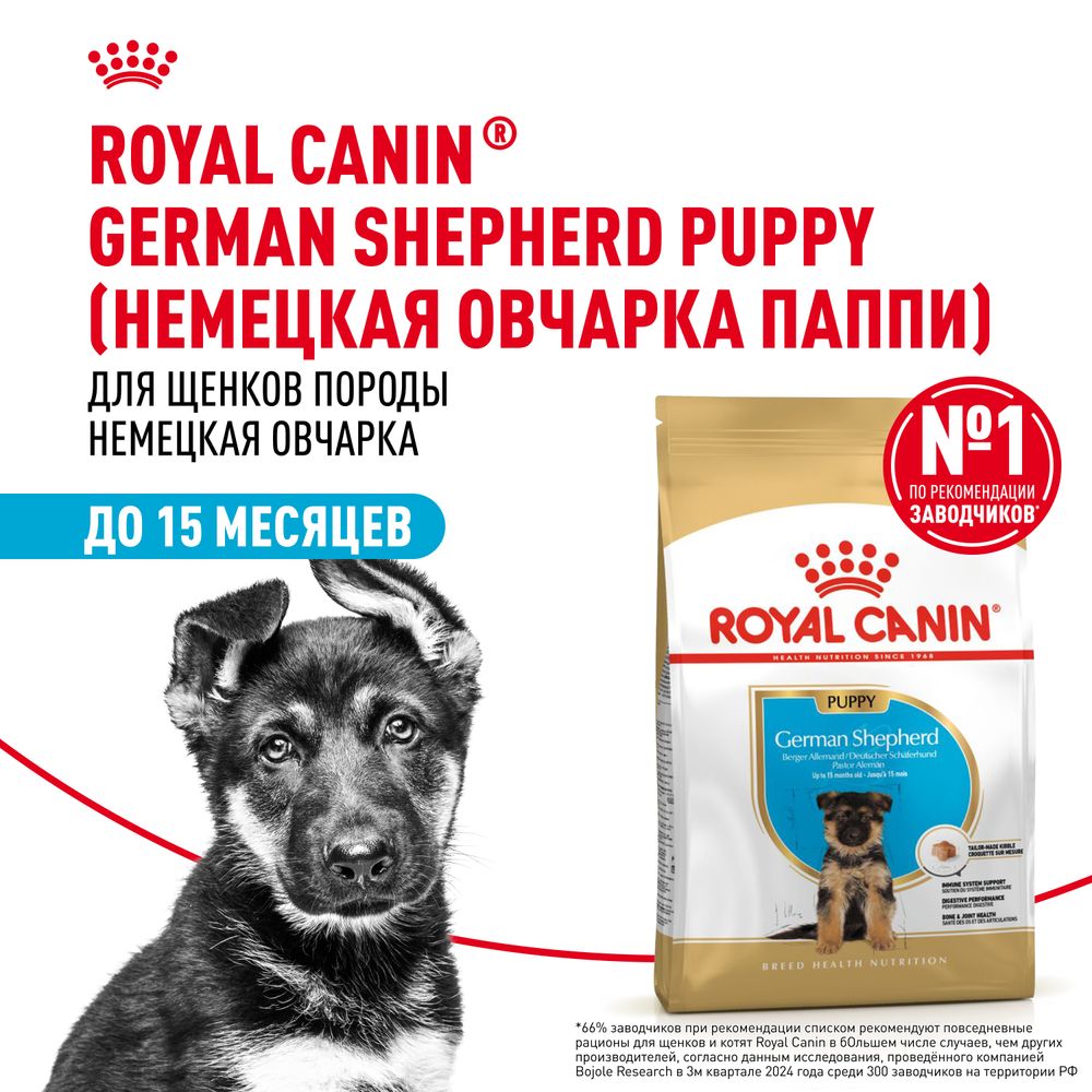 Сухой корм Royal Canin German Shepherd Puppy для щенков породы Немецкая овчарка до 15 месяцев