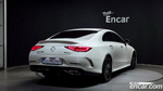 Mercedes-Benz CLS-Class C257 CLS450 4MATIC (03.2022)