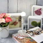 Лампа светодиодная Rexant, 9.5Вт, шар G45, E14, 220В, 903Лм, 4000К (10)