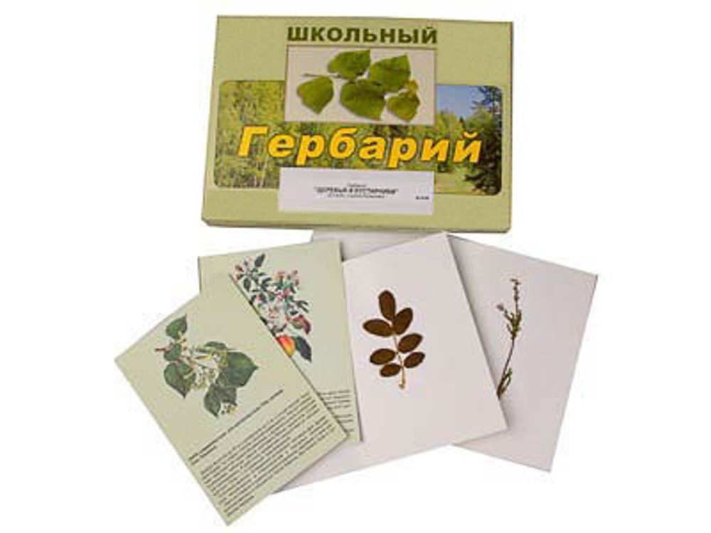 Гербарий &quot;Деревья и кустарники&quot; (22 вида, с иллюстрациями)