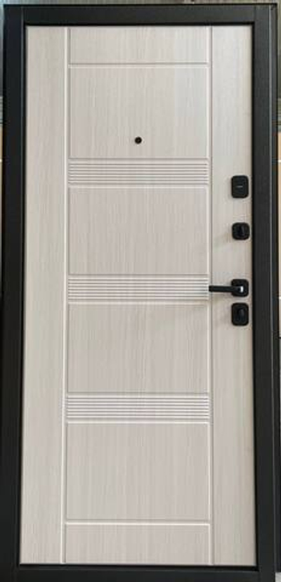 Дверь входная ТОКИО