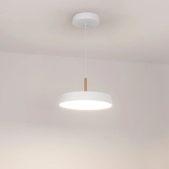 Подвесной светодиодный светильник Arlight SP-Elegant-R300-17W Day4000 033919(1)