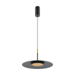 Подвесной светильник Maytoni MOD041PL-L15B3K1