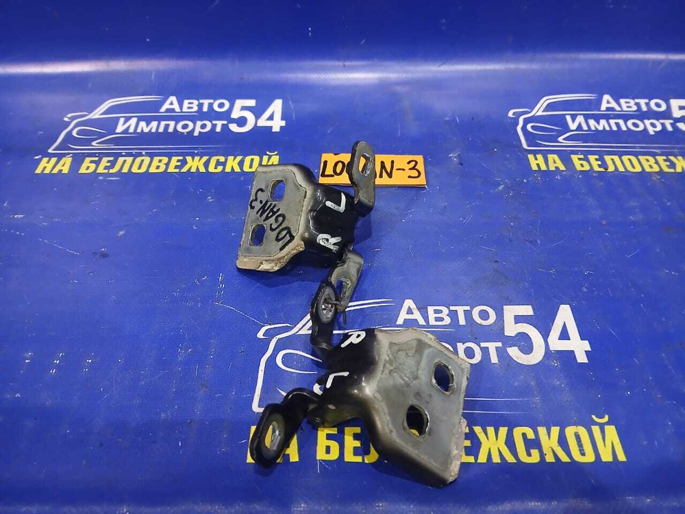Петля двери задней левой RENAULT LOGAN 2010