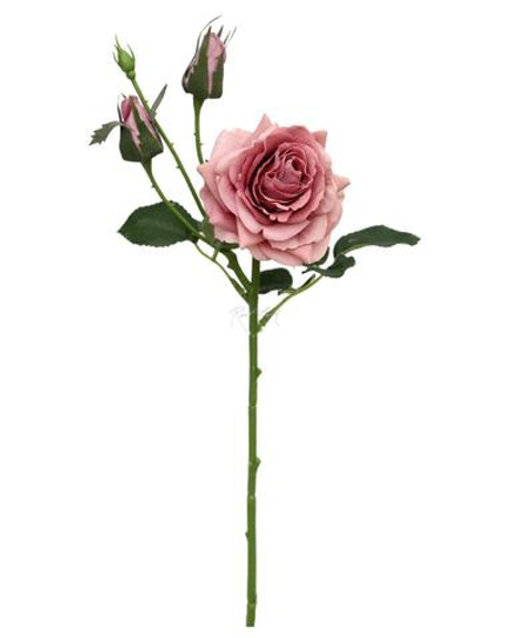 Роза Гранд мини - Дымчато-лиловый