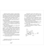 Детективы Лили и Зельда. Дело о пропавшем завещании