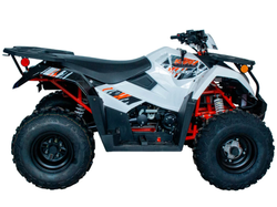 Квадрицикл KAYO AU300 EFI (белый пластик 2024 г.) (ПТС)