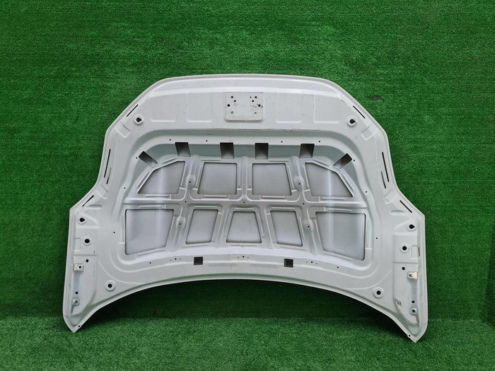 Капот Zeekr 001 (2021-н.в.)