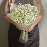 Букет из живых цветов белая гипсофила 5 шт, 50 см, в пленке, без зелени