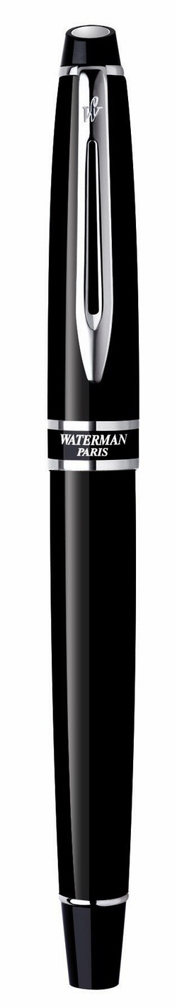Перьевая ручка Waterman Expert 3, цвет: Black CT, перо: F