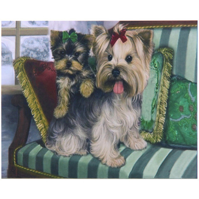 Алмазная мозаика на подрамнике с полным заполнением «МИР ЯРКИХ КРАСОК», пара йорк терьеров, 30*40см
