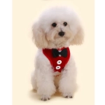 Шлейка с поводком для мелких пород собак и кошек «LAPUSIK», цвет красный, размер M