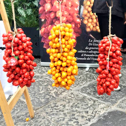 Помидоры Giagiù (Yellow Piennolo del Vesuvio) - Джаджу