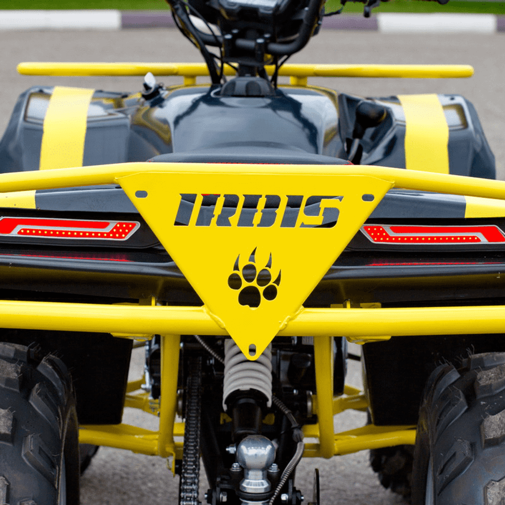 Квадроцикл IRBIS ATV 125
