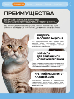 Корм сухой для кошек породы Британская короткошерстная, с индейкой, 400 гр, QUATTRO