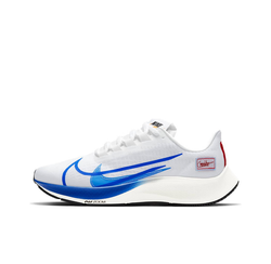 Мужские кроссовки Nike Air Zoom Pegasus 37 Premium 'Blue Ribbon' CQ9908-100