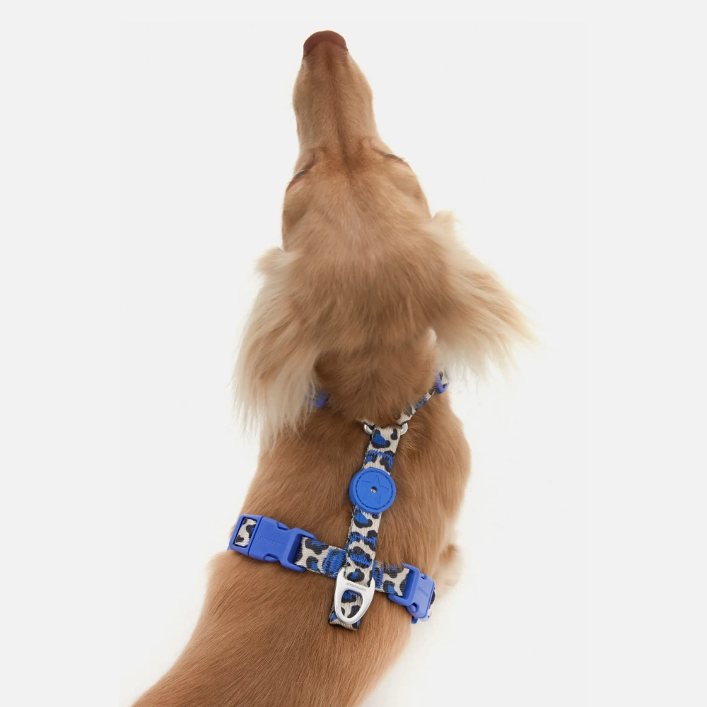 Анатомическая шлейка Midnight Safari