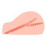 Мастурбатор-полуторс 23х19х11см с вибрацией, ротацией и голосом Kokos Juliana