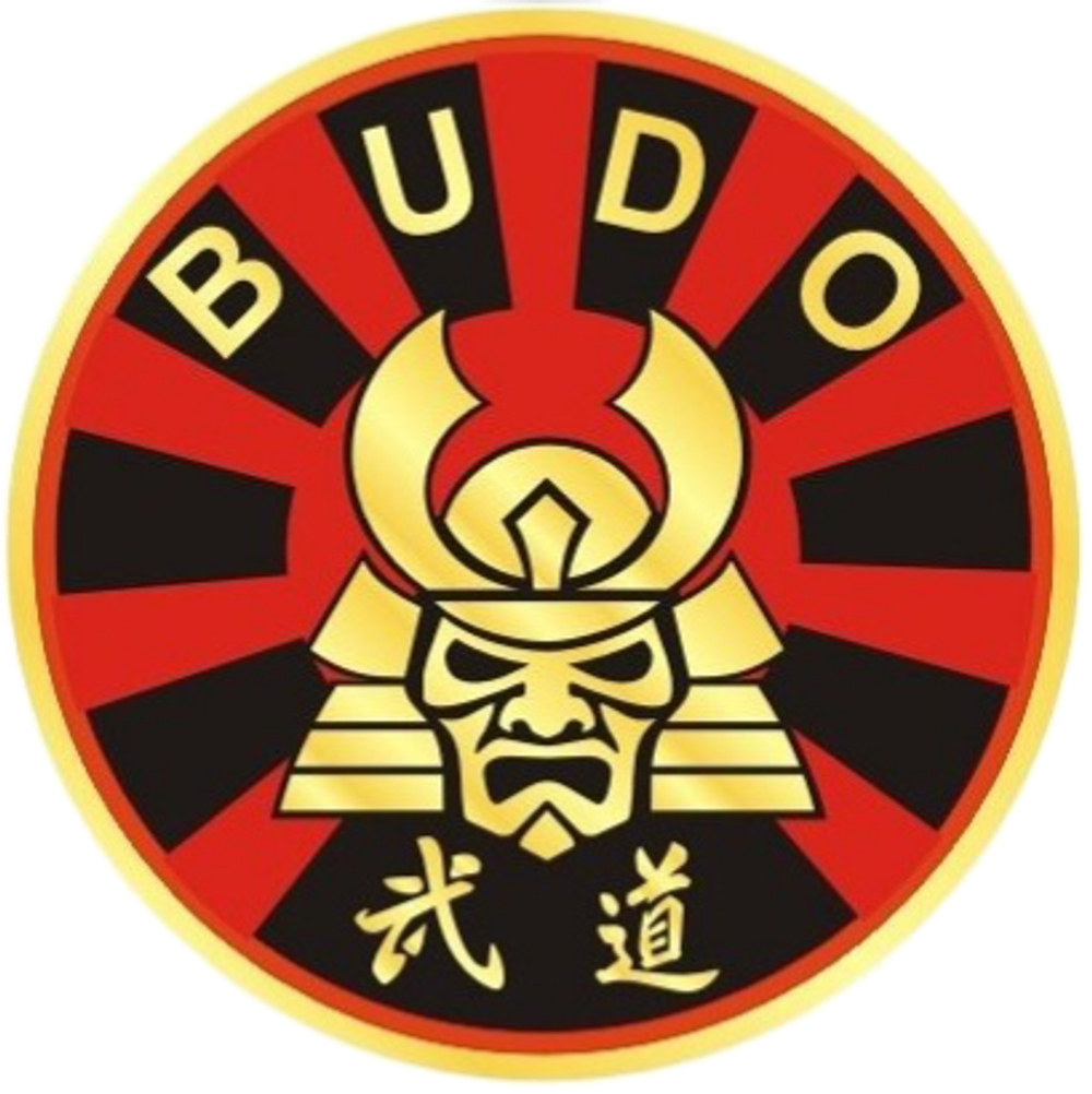 Ягю Синган Рю (1 занятие)