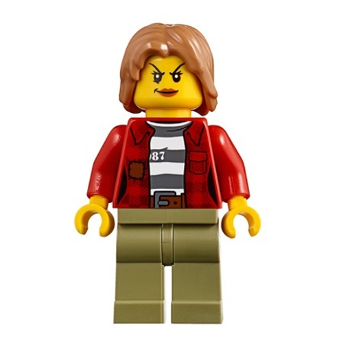 Воришка cty0851